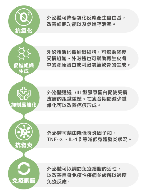 外泌體-神經再生新療法