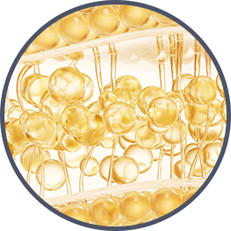 促進脂肪細胞代謝，讓曲線更乾淨俐落