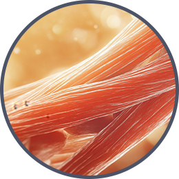 深層刺激肌肉收縮，讓身體更有支撐感