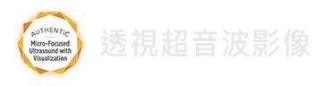 透視超音波影像